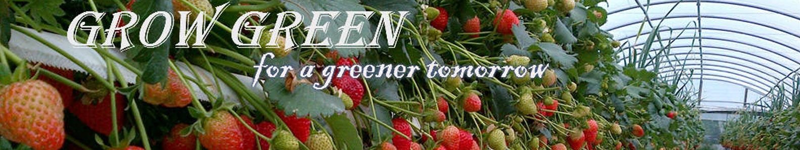 GROW GREEN CEYLON PVT LTD
