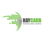HAYCARB PLC