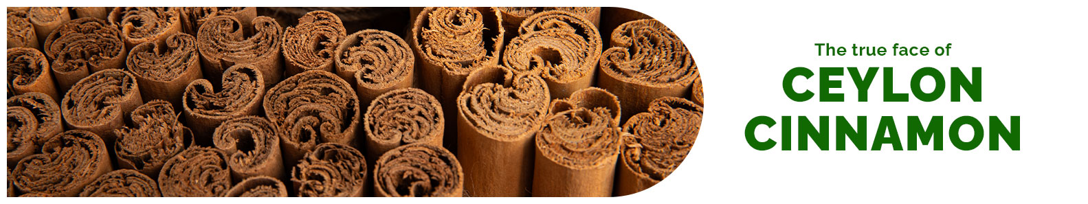 KUMARA CINNAMON EXPORTERS PVT LTD