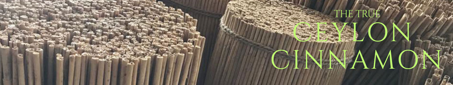 KEYCIN CINNAMON EXPORT