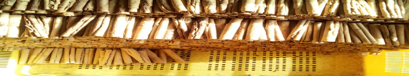 KEYCIN CINNAMON EXPORT