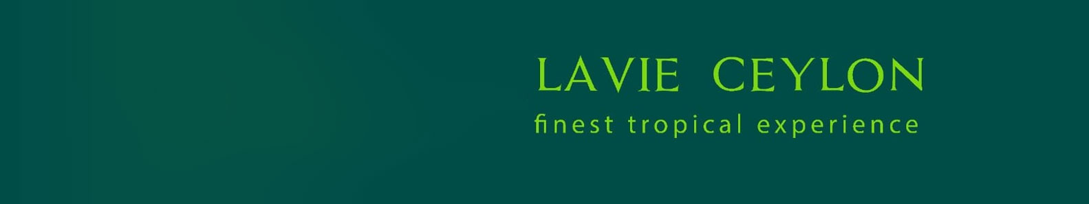 LAVIE TRADING PVT LTD