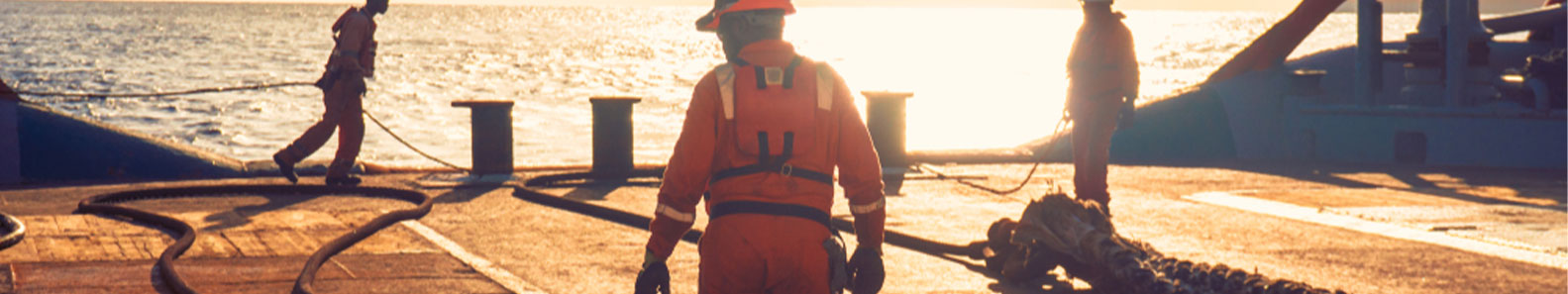 LANKA MARITIME SERVICES LTD