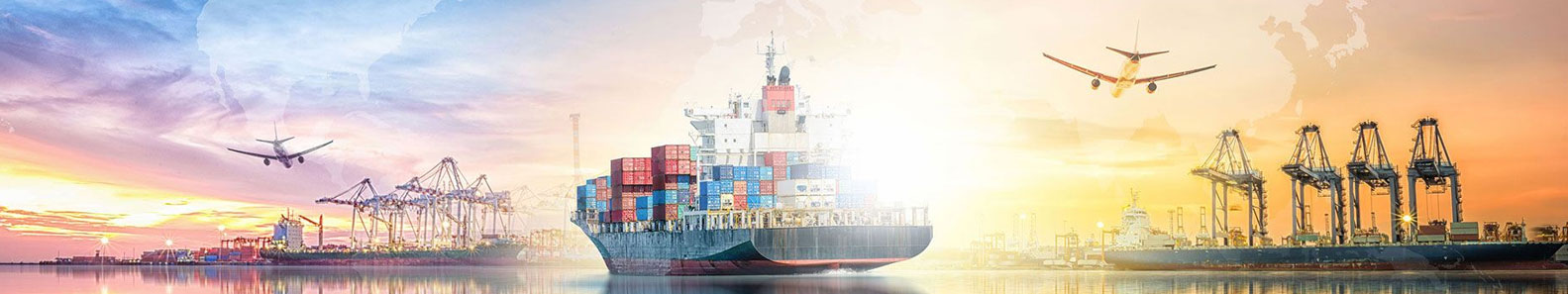 LINKEX CEYLON PVT LTD