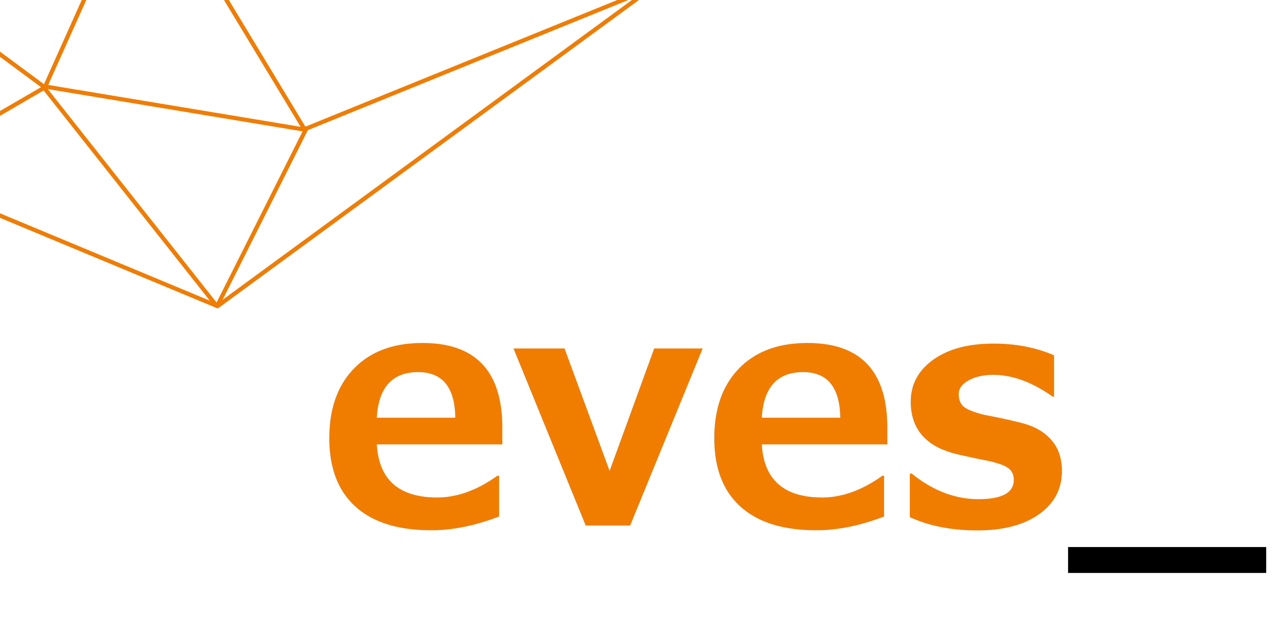Eves Information Technology (Pvt) Ltd