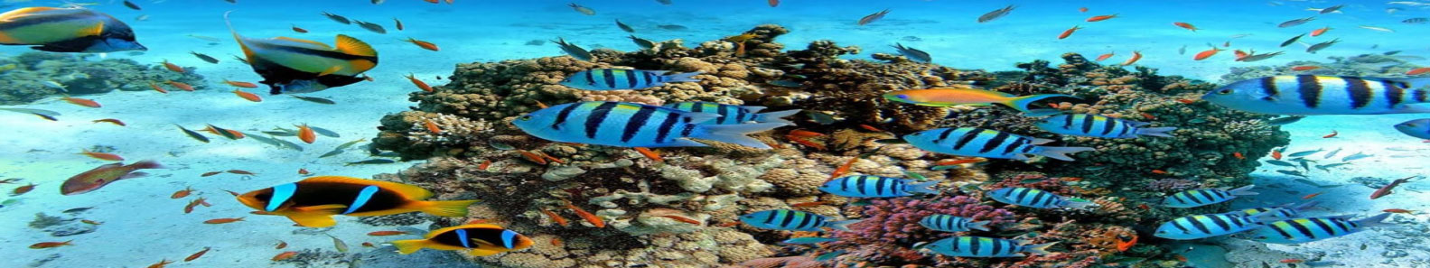 MARINE AQUARIUM COMPLEX PVT LTD