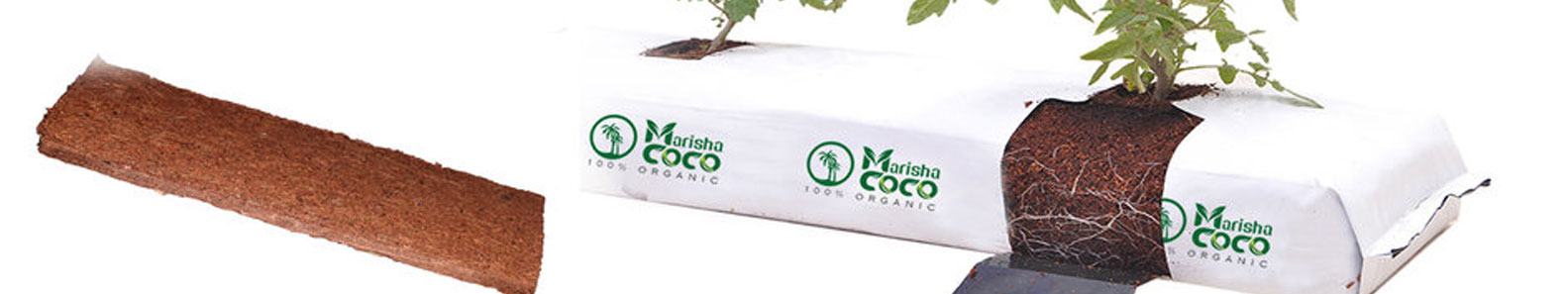 MARISHA COCO PRODUCTS PVT LTD