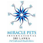 MIRACLE PETS INTERNATIONAL PVT LTD