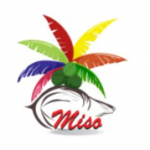 MISO PRODUCTS PVT LTD