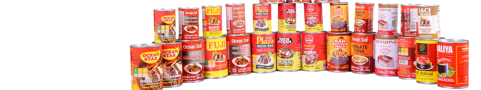 OCEAN FOODS MANUFACTURING PVT LTD