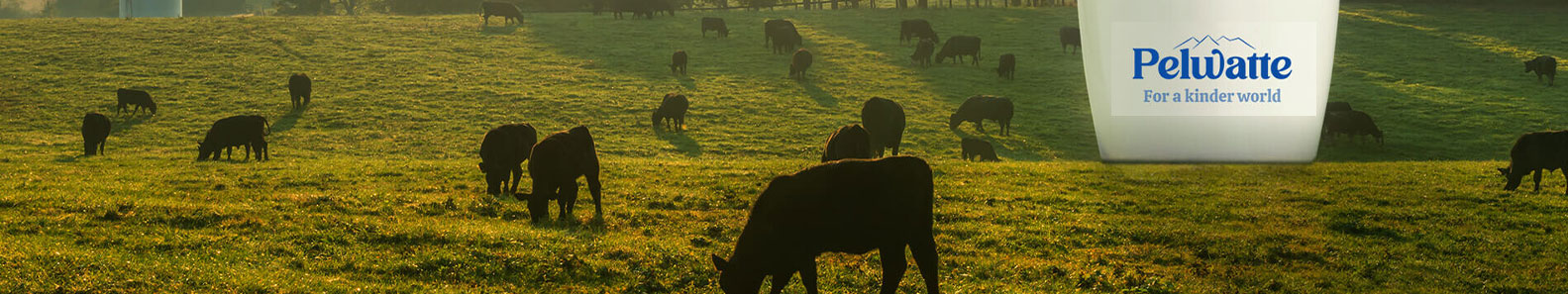 PELWATTA DAIRY INDUSTRIES PVT LTD