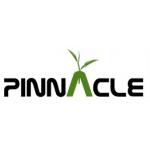 PINNACLE COMMODITIES PVT LTD