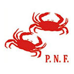 P N FERNANDO & COMPANY PVT LTD