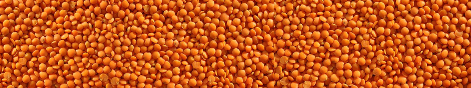 PULSES SPLITTING AND PROCESSING INDUSTRY PVT LTD