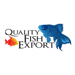 QUALITY FISH EXPORT