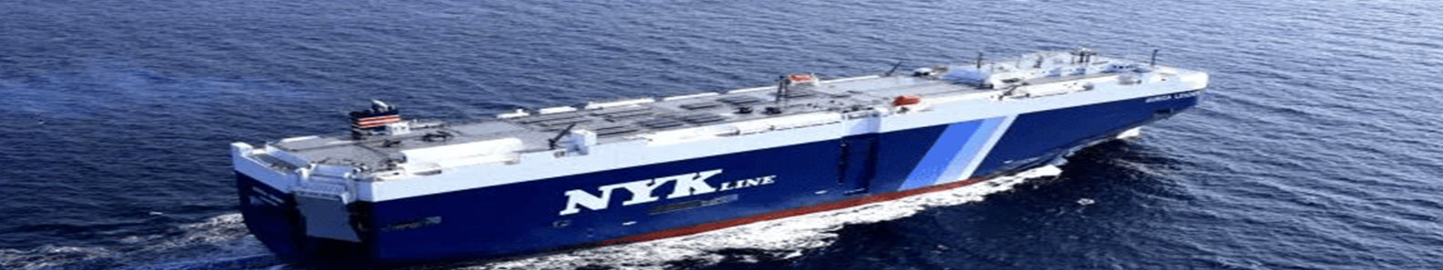 Rays International Shipping Pvt Ltd