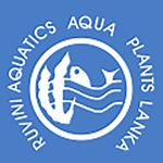 RUVINI AQUA PLANTS LANKA PVT LTD