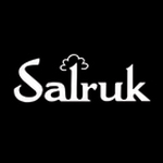 Salruk Enterprises Pvt Ltd