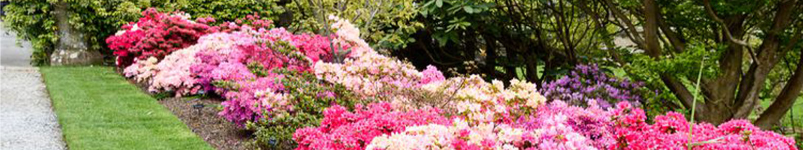 SERENDIB FLORA PVT LTD