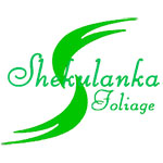 SHEKULANKA FOLIAGE PVT LTD