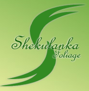 SHEKULANKA FOLIAGE PVT LTD