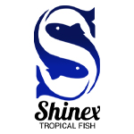 SHINEX TROPICAL FISH