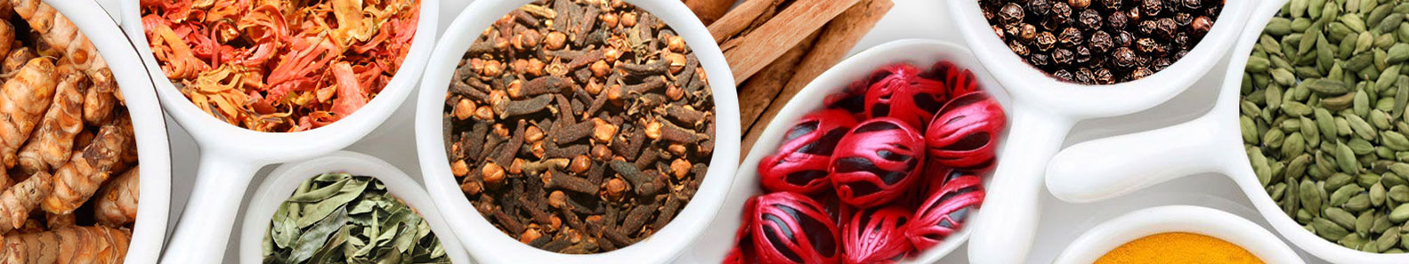 DEHARA TRADING CO PVT LTD