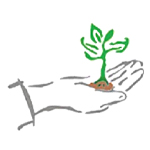 TROPICAL ABUNDANCE PVT LTD