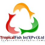 TROPICAL FISH INTERNATIONAL PVT LTD