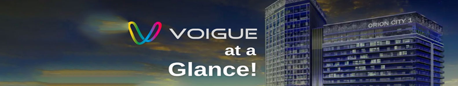 Voigue PVT LTD