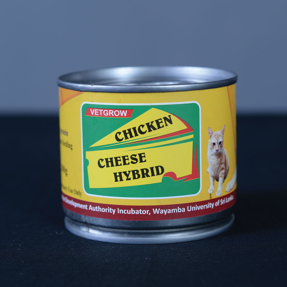 Chicken Cheese Hybrid