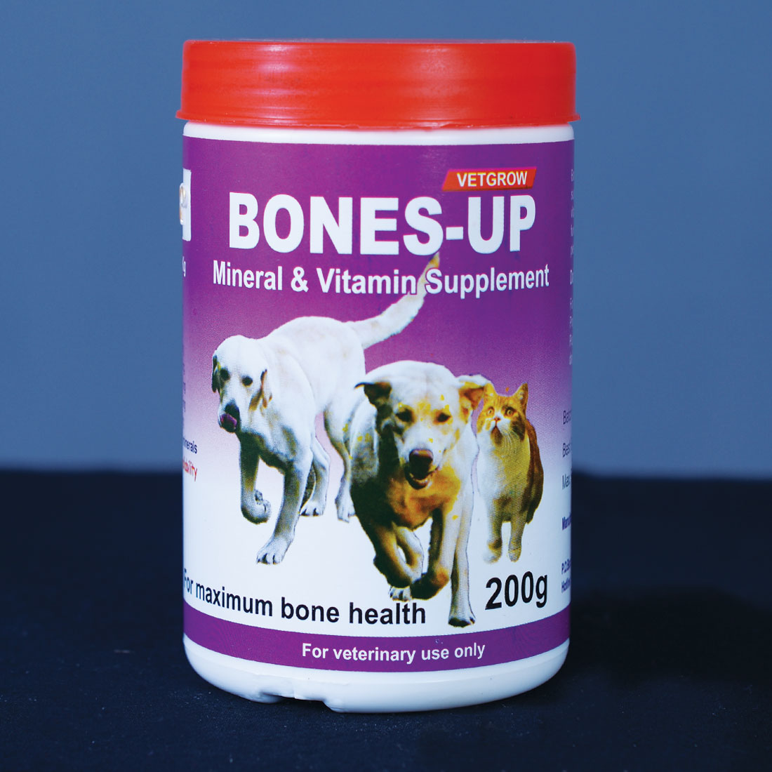 Bones Up