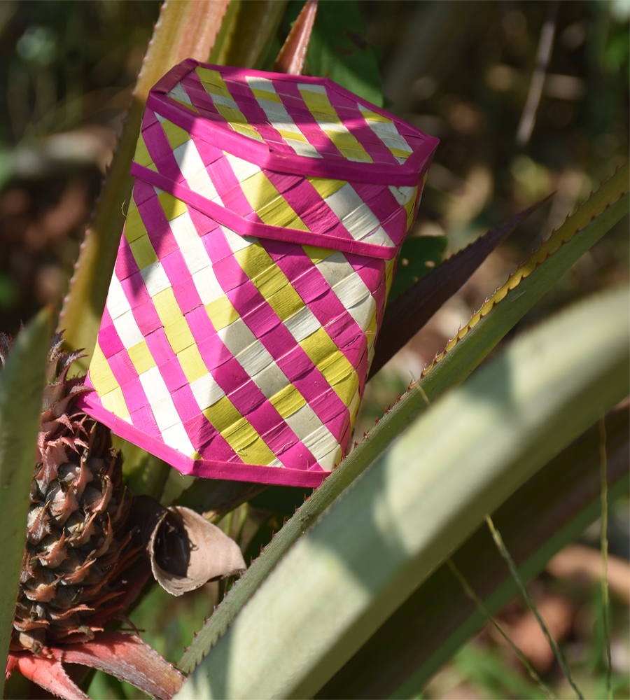 Hexagonal Shape Ola Leaves and Pan leaves Box