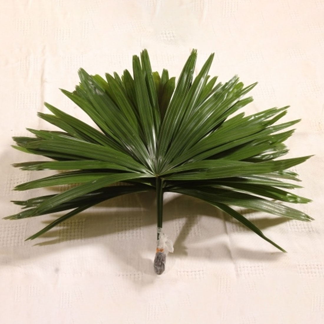 Rafis Excelsa