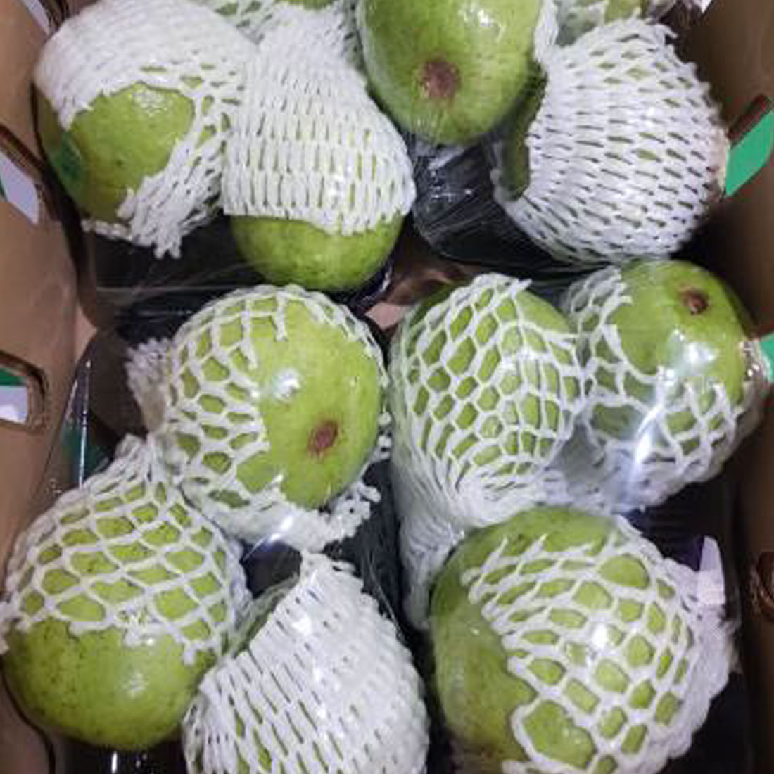 Fresh Guava (SGT)
