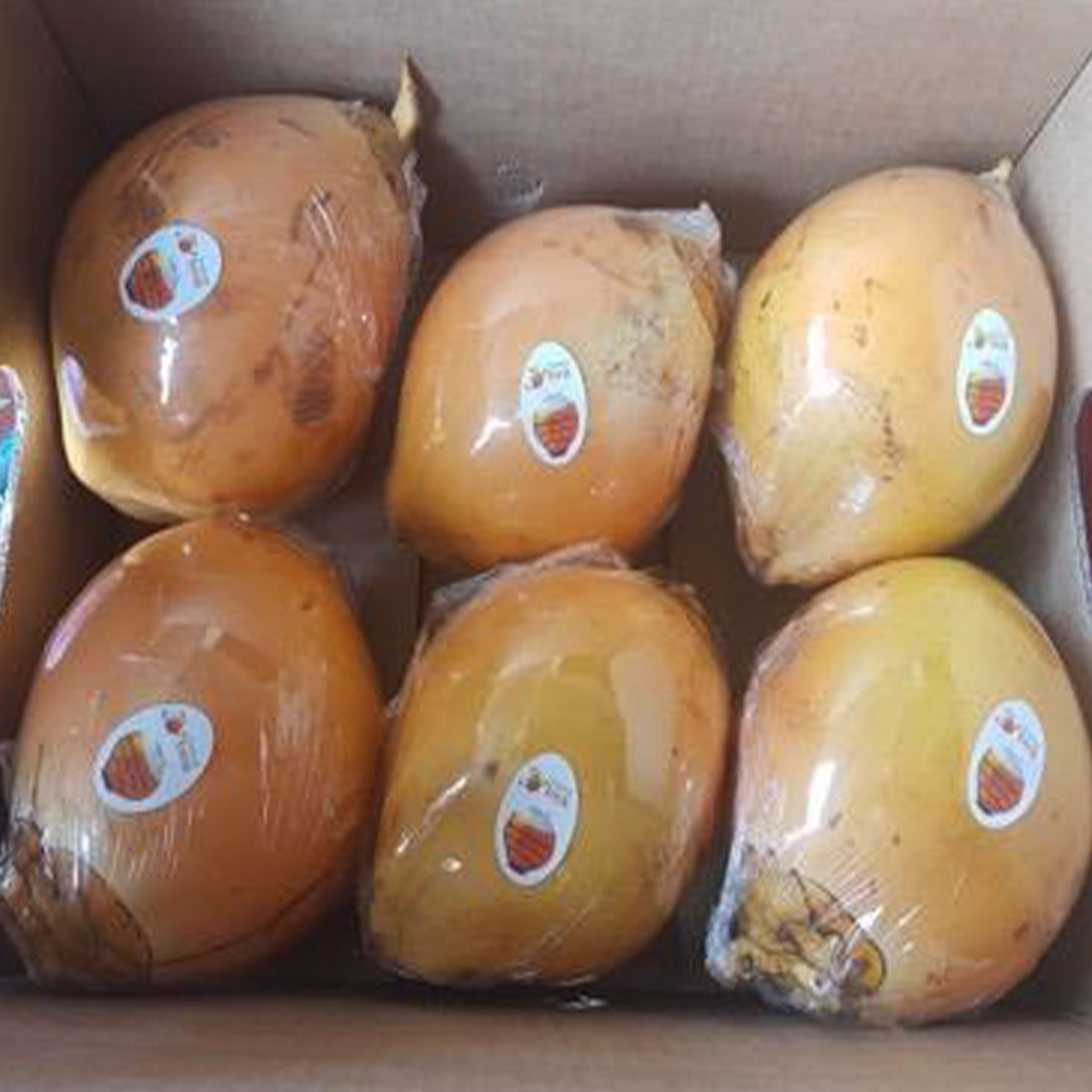 Fresh King Coconut (SGT)