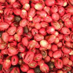 Ashok Lanka Exports - Nutmeg and Mace