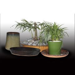 Ceramic Planters