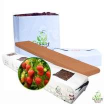 GREEN SPACE GROW BAG AND PLANTER BAG FOR FRUITS