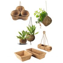 Decorative Coir Pots