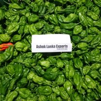 Ashok Lanka Exports - Scotch Bonnet Pepper