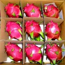 Fresh Dragon Fruit (SGT)