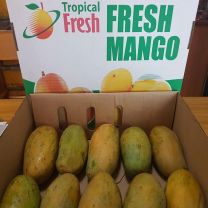 Fresh Karthakolomban Mango (SGT)