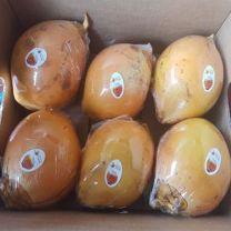 Fresh King Coconut (SGT)