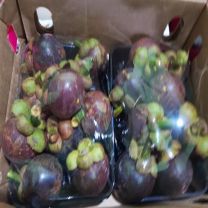 Fresh Mangosteen (SGT)