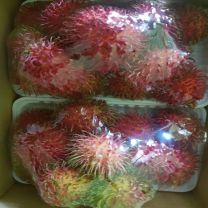 Fresh Rambutan (SGT)
