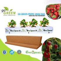 GO GREEN - PRIME GROW BAG