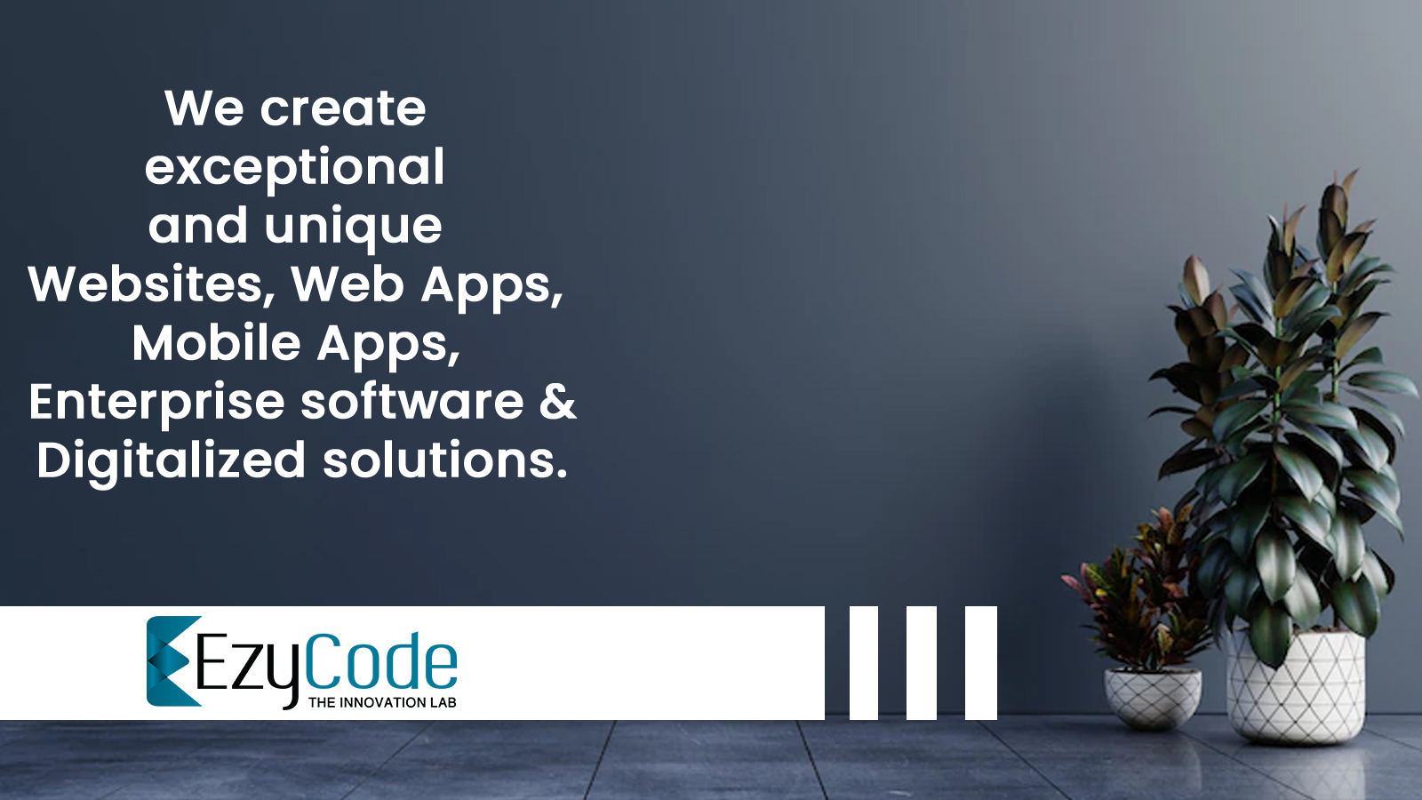 EzyCode (Pvt) Ltd