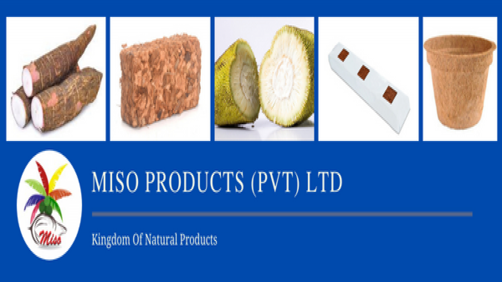 MISO PRODUCTS PVT LTD