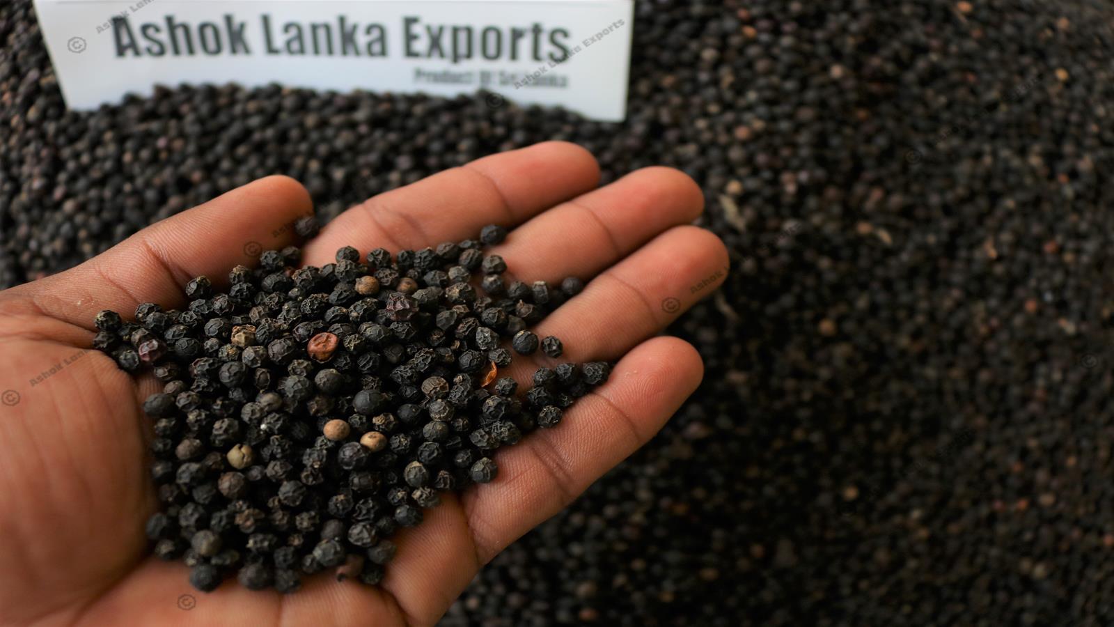 ASHOK LANKA EXPORTS